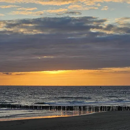 Strandhuisje Dishoek Apartment