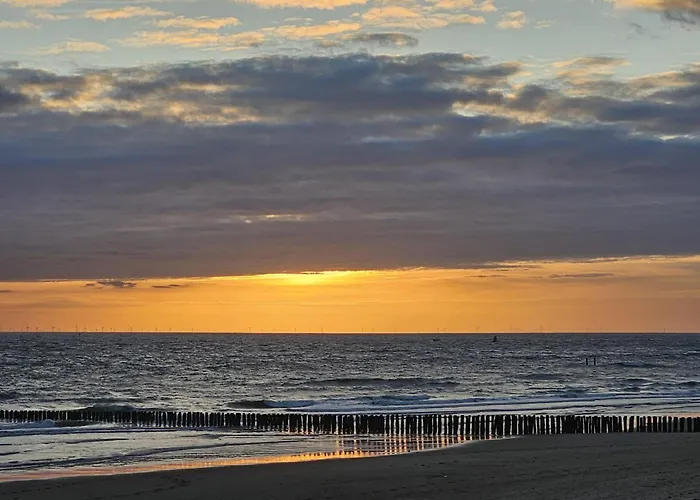 Strandhuisje Dishoek Vakantiehuis
