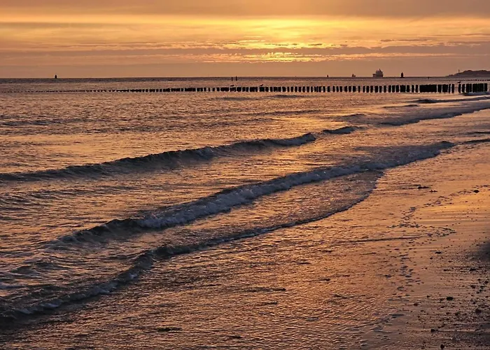 Vakantiehuis Strandhuisje Dishoek *